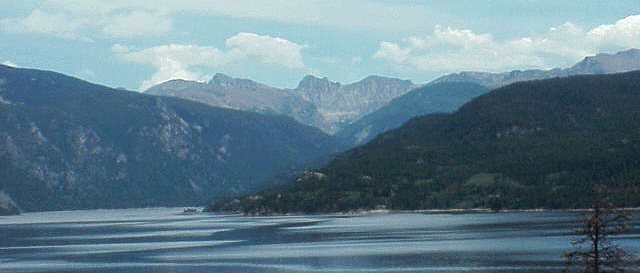 Photograph from the original Buck and Dolly site