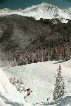 Buck makes a jump at Mary Jane.